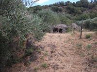 gale-20120725 086